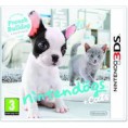 Nintendogs Bouledog